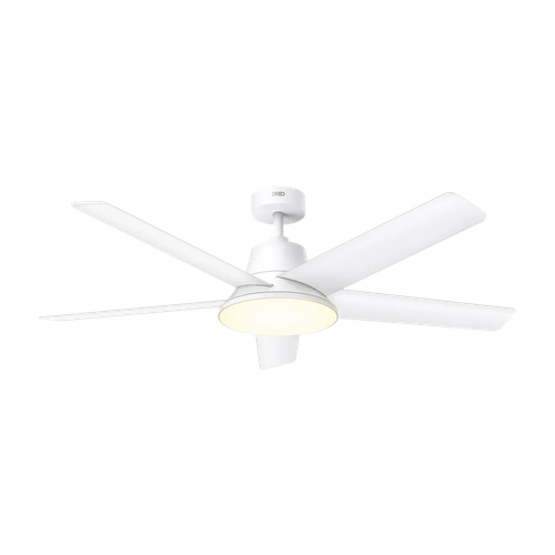 Ceiling fan