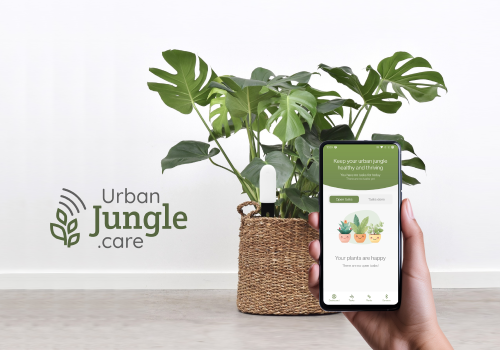 Urban jungle care