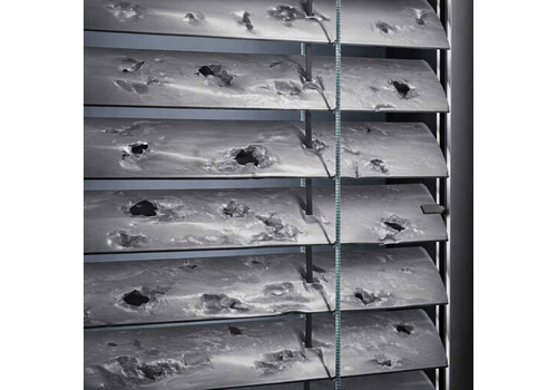 Hail protection for your blinds – automatic warning via REST API