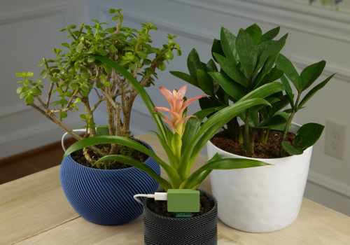 Air quality, presence, temperature, plants and pumps: readings from your Apollo Automation sensors, all on your local network.