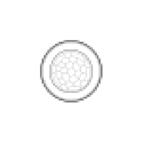 Motion Sensor