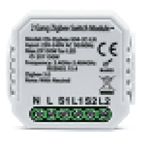 2 Gang Switch Module
