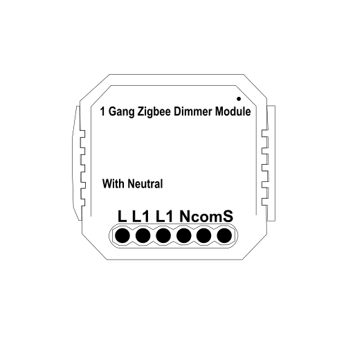 Ceiling Fan