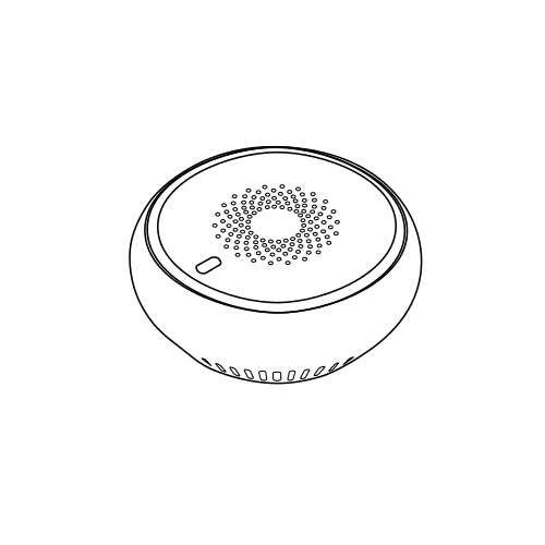 CO Sensor