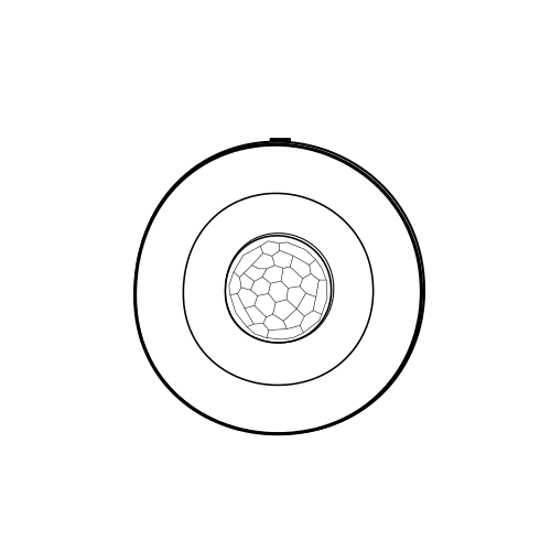 Motion Sensor