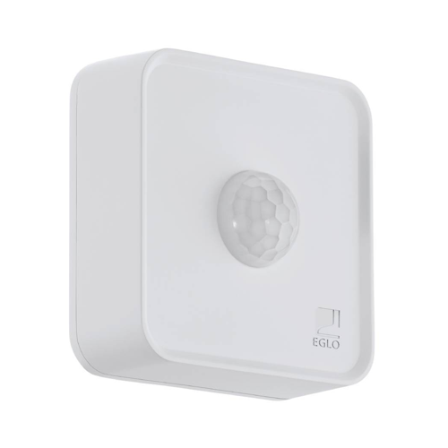 Motion sensor