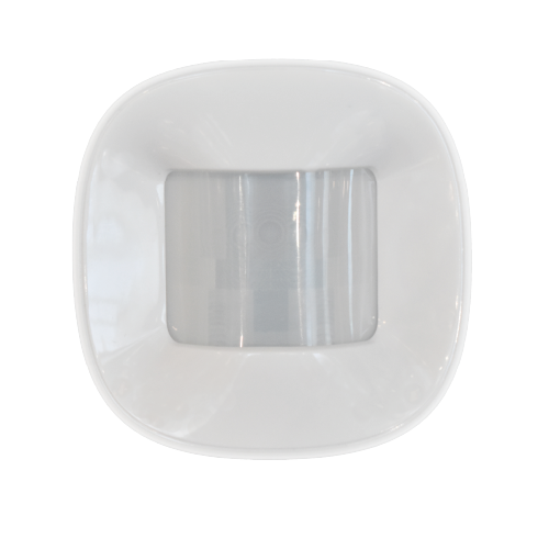 Alarm Motion Sensor 2