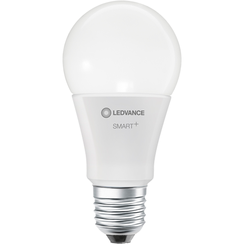 Bulb