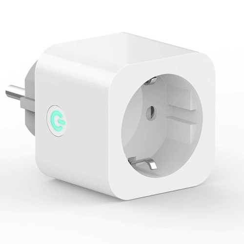 Plug