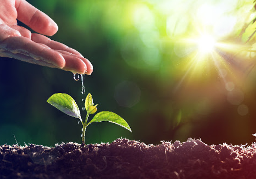 Quality environmental monitoring instruments.