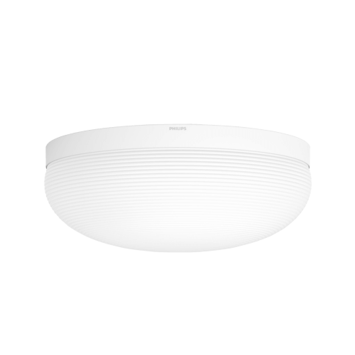 Fluorish Ceiling Light