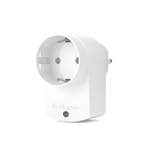 Plug