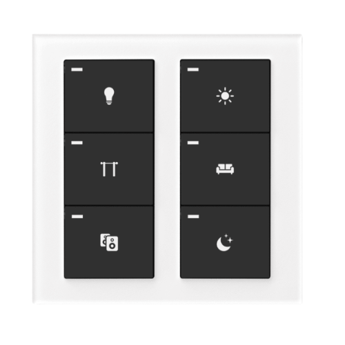 6 Button Controller