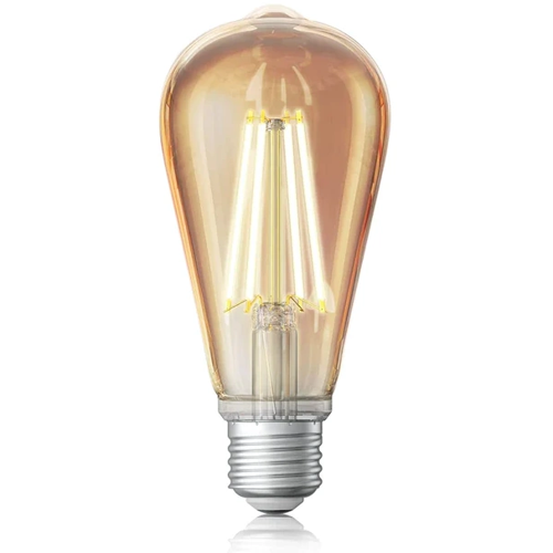 Vintage Edison Bulb