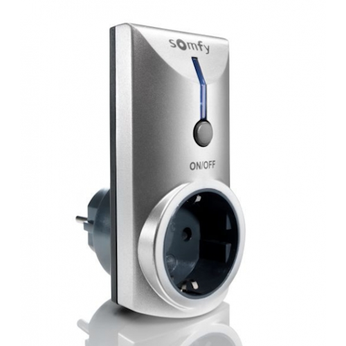Socket (RTS)