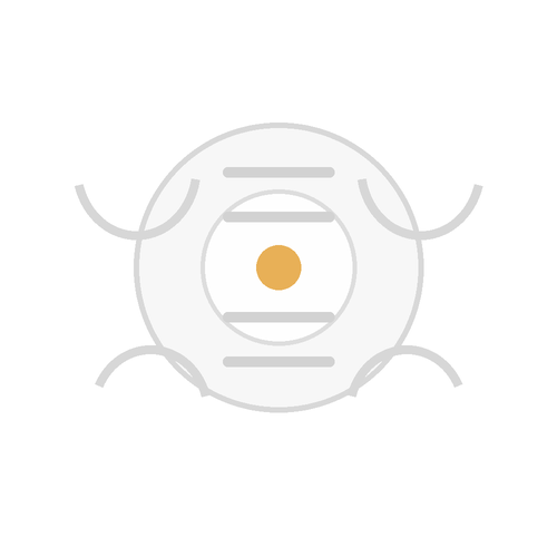 Somfy Smoke Detector