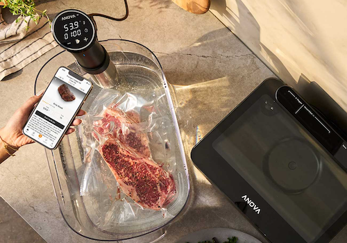 Anova Precision Cooker