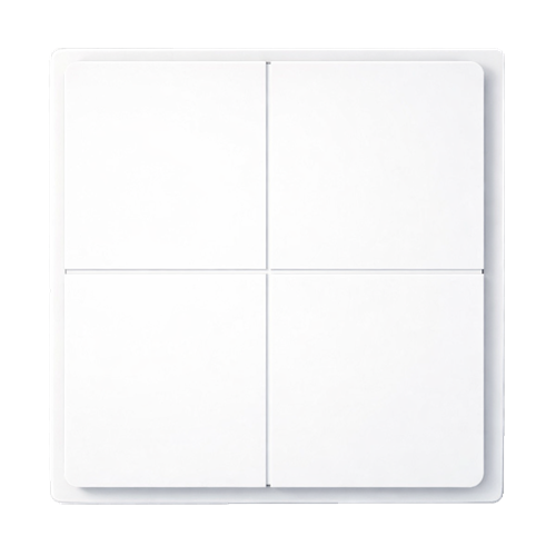Wall Switch