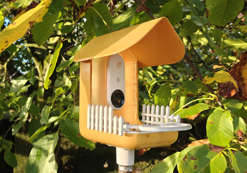 See every bird that visits your feeder