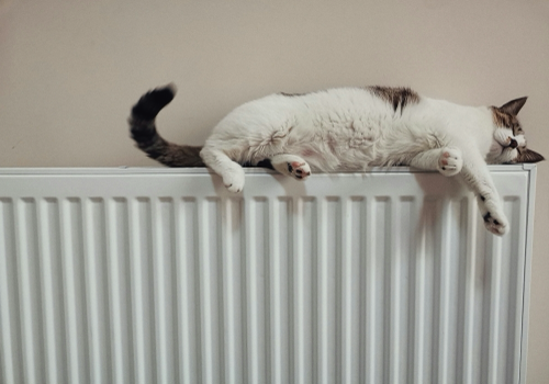 Smarter radiator fans for a warmer home