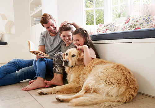 Make your heat pump work smarter, not harder
