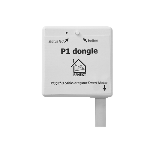 P1 Dongle