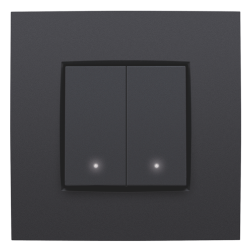 Double switch