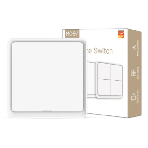 Wall Switch Scene 1 Gang