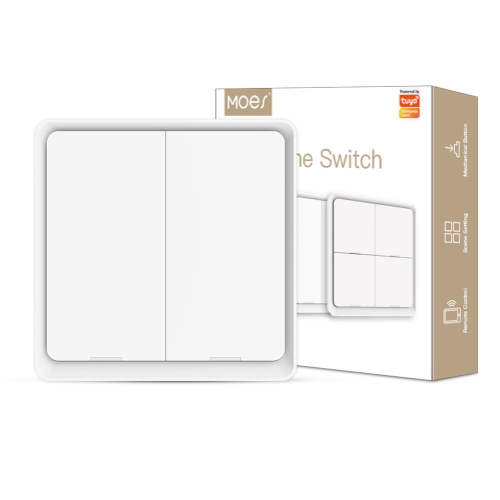 Wall Switch Scene 2 Gang