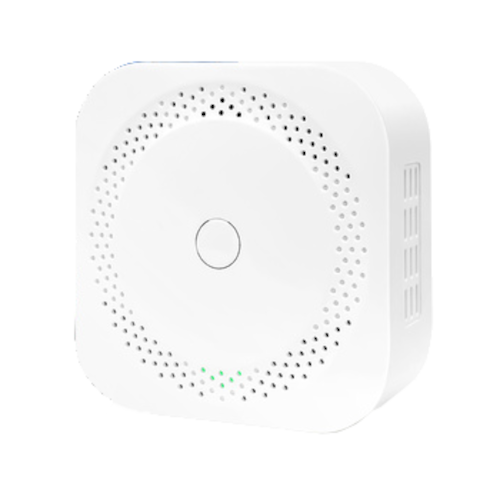 Gas Detector E9