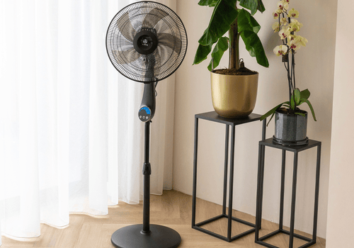 AirKing