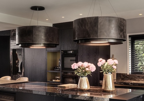 Wave cooker fan & light control