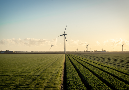 Dynamic energy prices from Mijndomein Energie