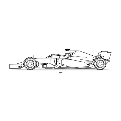 F1 Driver