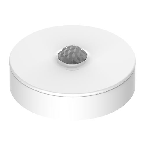 Motion Sensor