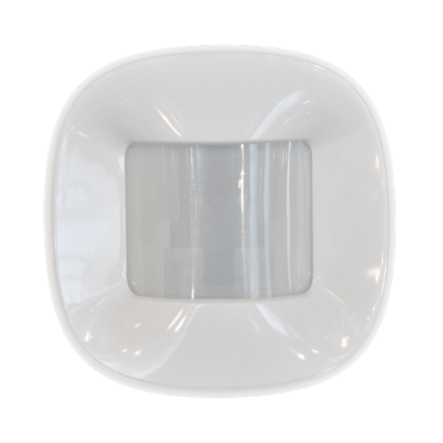 Motion Sensor 2 Alarm