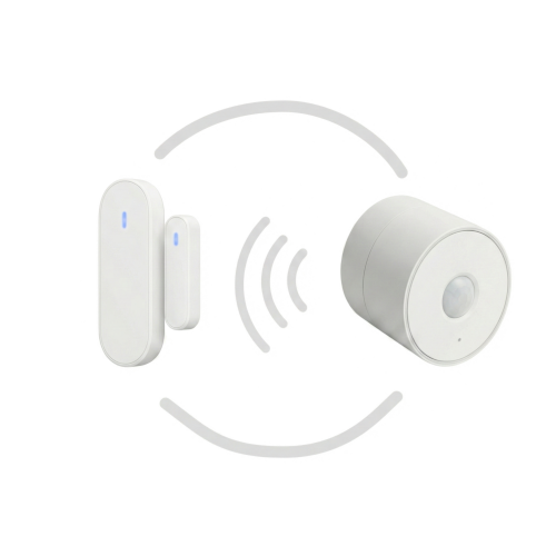 Virtual Room Occupancy