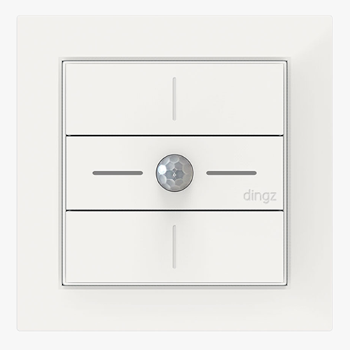 dingzSwitch