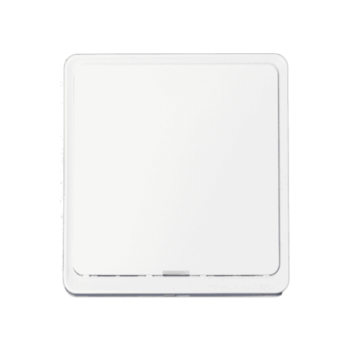 Moes 1 Gang Scene Switch