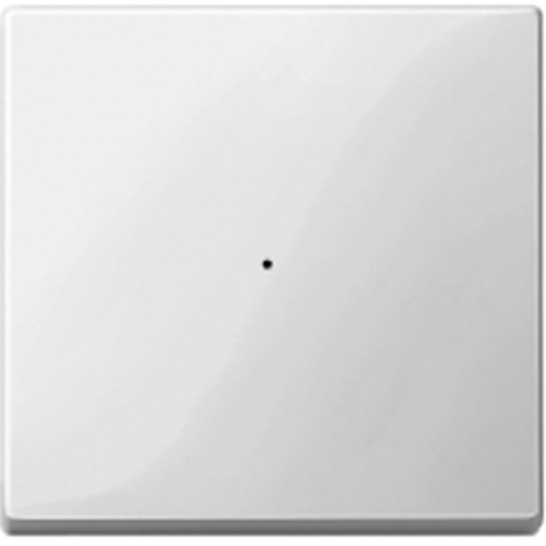 Radio push-button, 1-gang