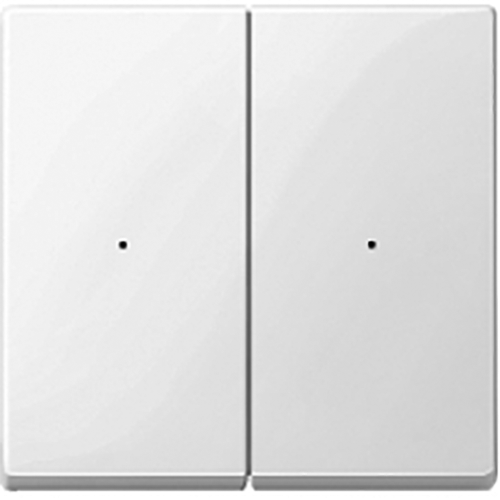 Radio push-button, 2-gang