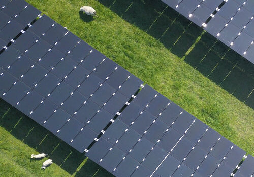 Good energy, directly Vandebron